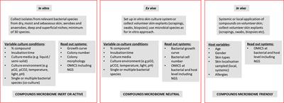 Being friendly to the skin microbiome: Experimental assessment